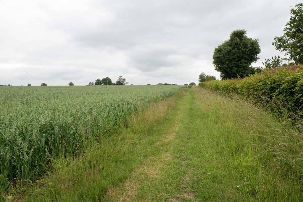Immaculate Barn Annexe Close To Stansted Airport 大邓莫 外观 照片
