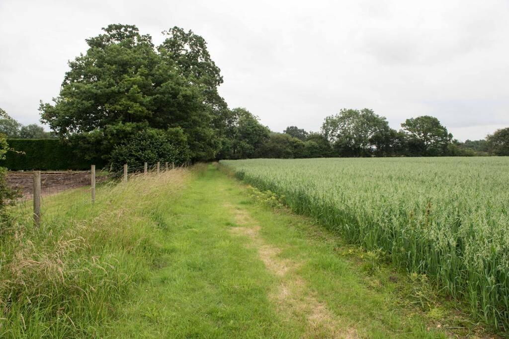 Immaculate Barn Annexe Close To Stansted Airport 大邓莫 外观 照片