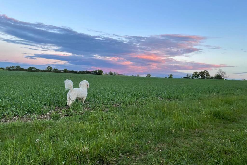 Immaculate Barn Annexe Close To Stansted Airport 大邓莫 外观 照片